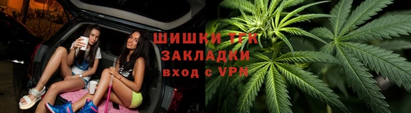эйфоретик Аркадак