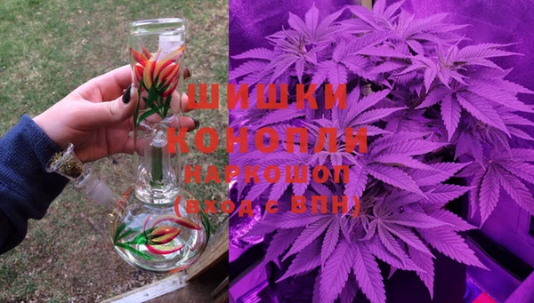 амф Арсеньев