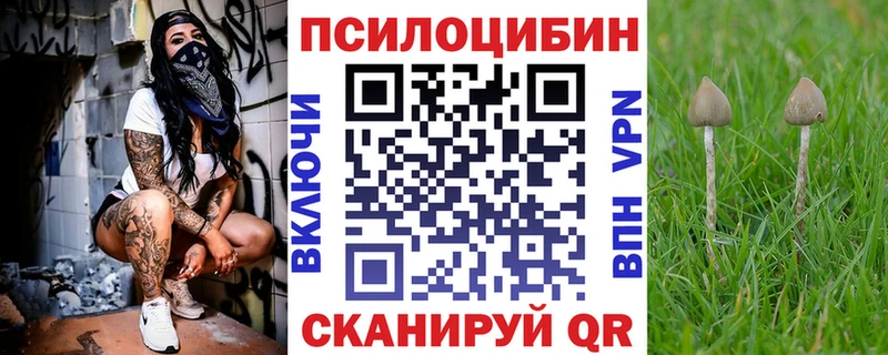 это какой сайт закладка Бежецк Галлюциногенные грибы GOLDEN TEACHER